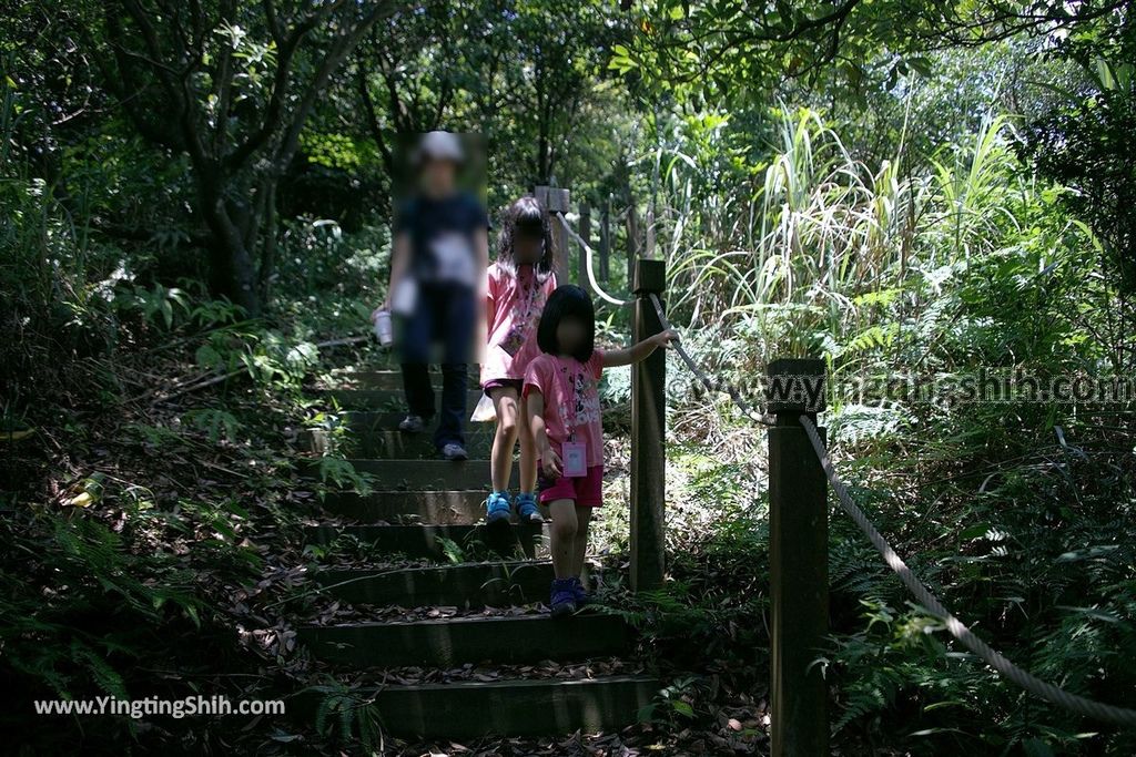 YTS_YTS_20190615_新北瑞芳蘭陽登山步道／保民堂／青雲寶殿New Taipei Ruifang Lanyang Hiking Trail083_539A0135.jpg