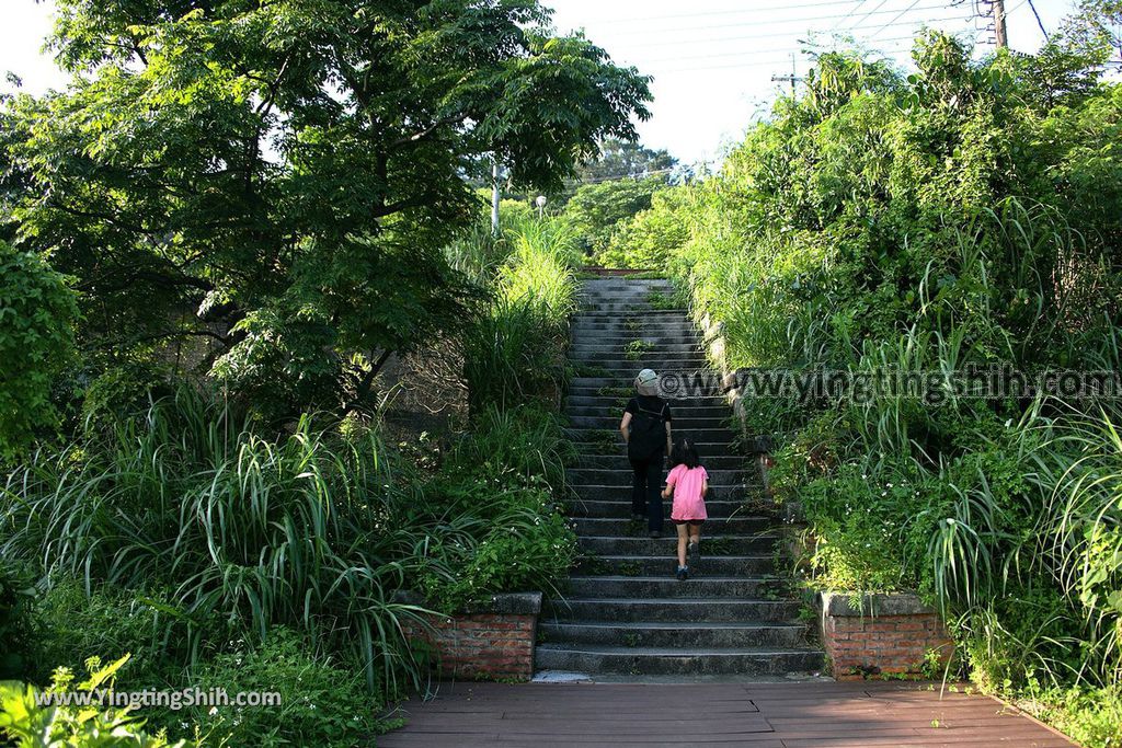 YTS_YTS_20190615_基隆中正八斗子環保公園Keelung Zhongzheng Badouzi Environmental Protection Park010_539A0628.jpg