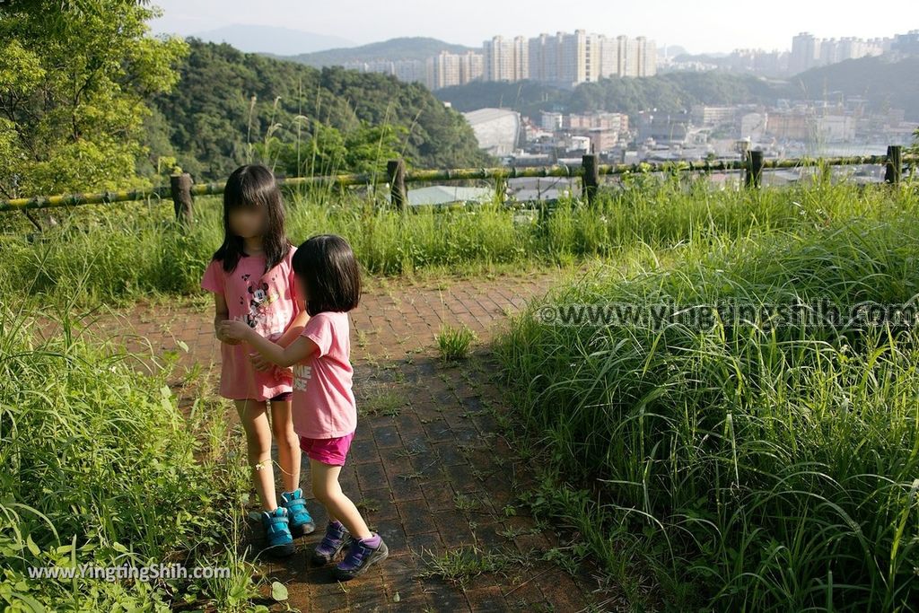 YTS_YTS_20190615_基隆中正八斗子環保公園Keelung Zhongzheng Badouzi Environmental Protection Park024_539A0644.jpg