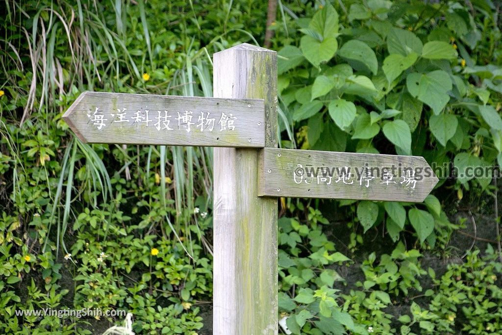 YTS_YTS_20190615_基隆中正八斗子環保公園Keelung Zhongzheng Badouzi Environmental Protection Park034_539A0659.jpg