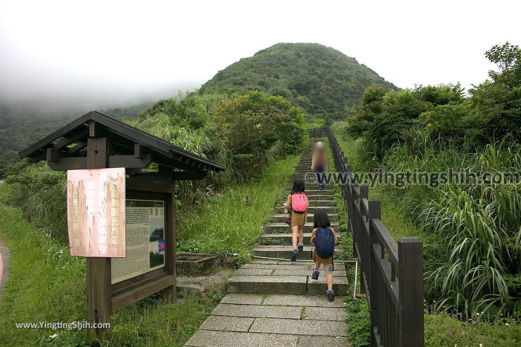 YTS_YTS_20190615_新北瑞芳無耳茶壺山登山步道／犀牛山New Taipei Ruifang Teapot Mountain Trail049_539A6321.jpg