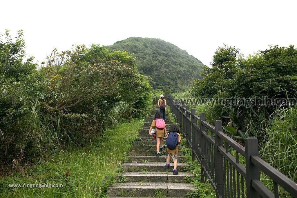 YTS_YTS_20190615_新北瑞芳無耳茶壺山登山步道／犀牛山New Taipei Ruifang Teapot Mountain Trail054_539A6326.jpg