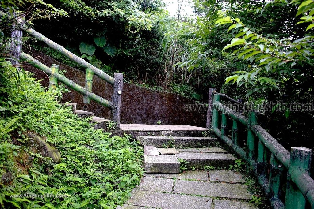 YTS_YTS_20190615_新北瑞芳無耳茶壺山登山步道／犀牛山New Taipei Ruifang Teapot Mountain Trail058_539A6332.jpg