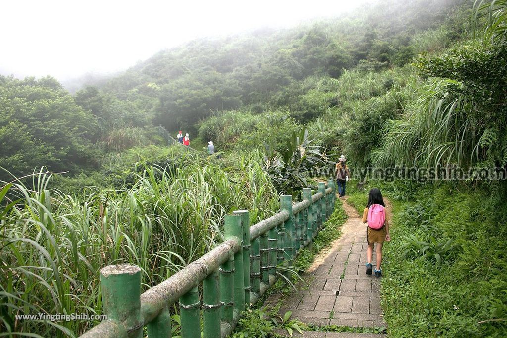 YTS_YTS_20190615_新北瑞芳無耳茶壺山登山步道／犀牛山New Taipei Ruifang Teapot Mountain Trail064_539A6342.jpg