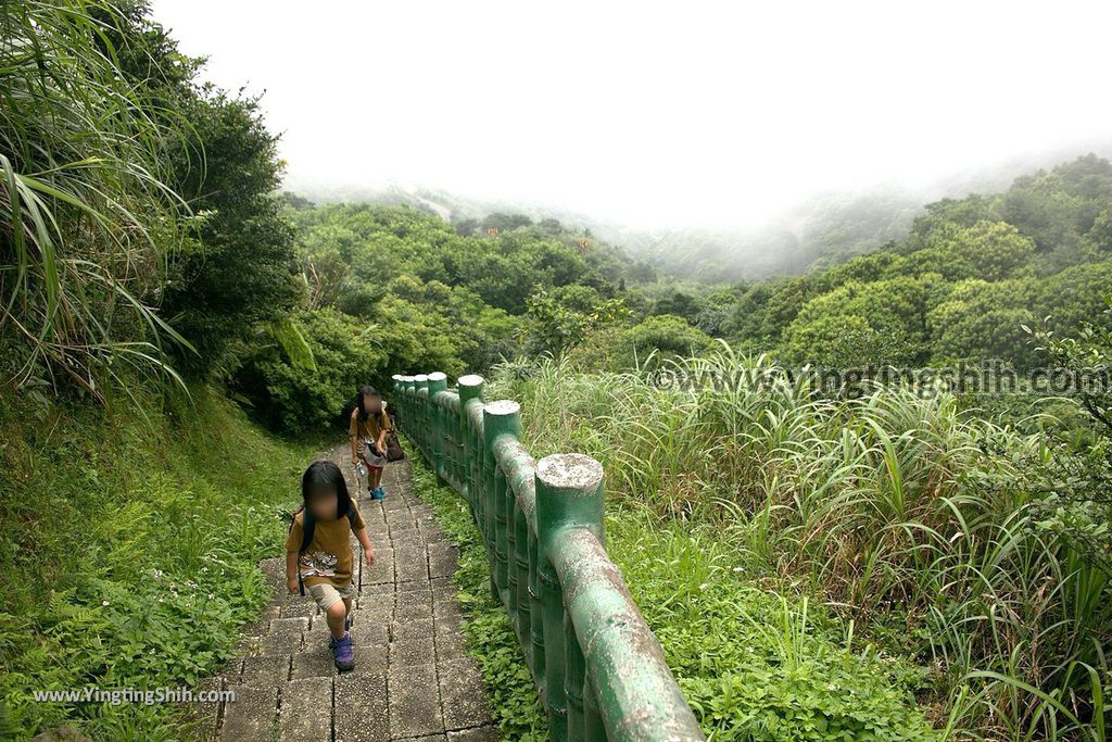 YTS_YTS_20190615_新北瑞芳無耳茶壺山登山步道／犀牛山New Taipei Ruifang Teapot Mountain Trail066_539A6349.jpg