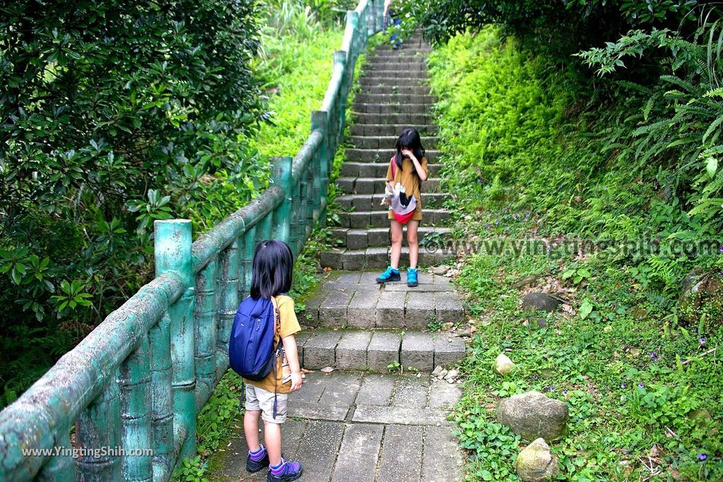 YTS_YTS_20190615_新北瑞芳無耳茶壺山登山步道／犀牛山New Taipei Ruifang Teapot Mountain Trail065_539A6344.jpg