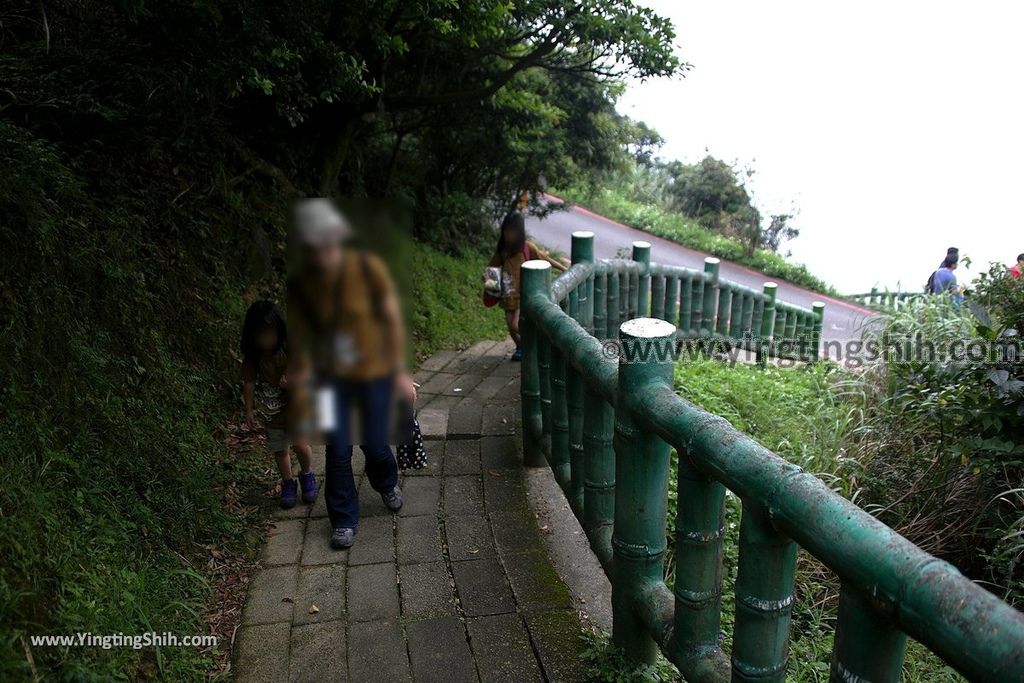 YTS_YTS_20190615_新北瑞芳無耳茶壺山登山步道／犀牛山New Taipei Ruifang Teapot Mountain Trail071_539A6358.jpg