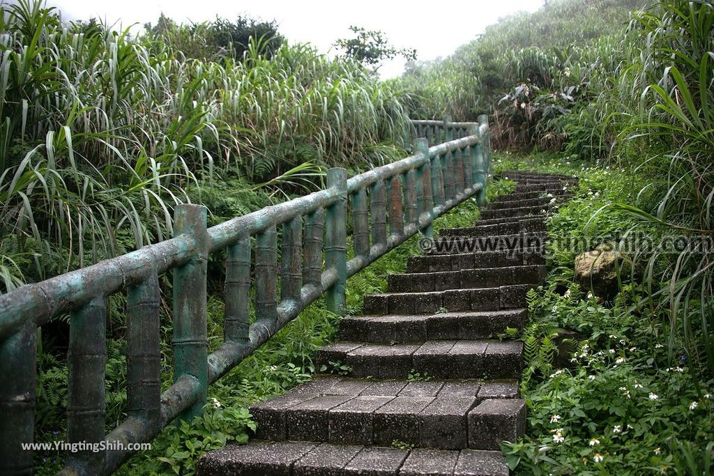 YTS_YTS_20190615_新北瑞芳無耳茶壺山登山步道／犀牛山New Taipei Ruifang Teapot Mountain Trail073_539A6359.jpg