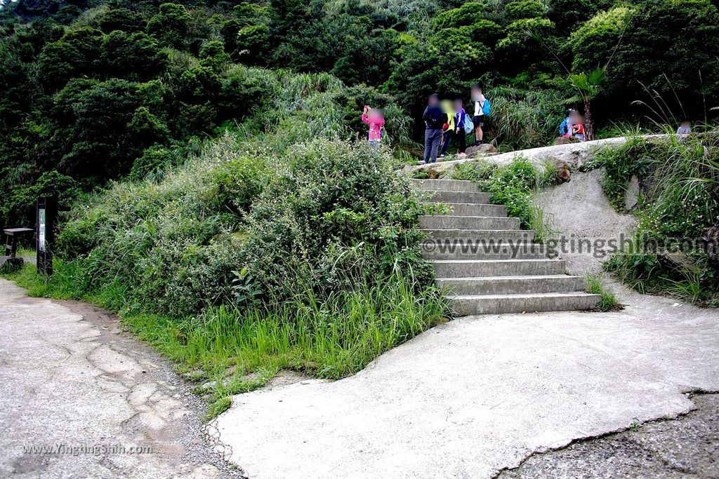 YTS_YTS_20190615_新北瑞芳無耳茶壺山登山步道／犀牛山New Taipei Ruifang Teapot Mountain Trail091_539A9691.jpg