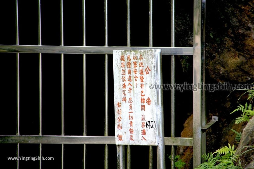 YTS_YTS_20190615_新北瑞芳無耳茶壺山登山步道／犀牛山New Taipei Ruifang Teapot Mountain Trail102_539A9703.jpg