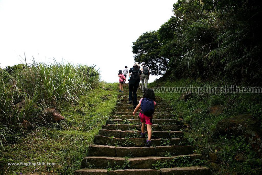 YTS_YTS_20190615_新北瑞芳無耳茶壺山登山步道／犀牛山New Taipei Ruifang Teapot Mountain Trail105_539A9707.jpg