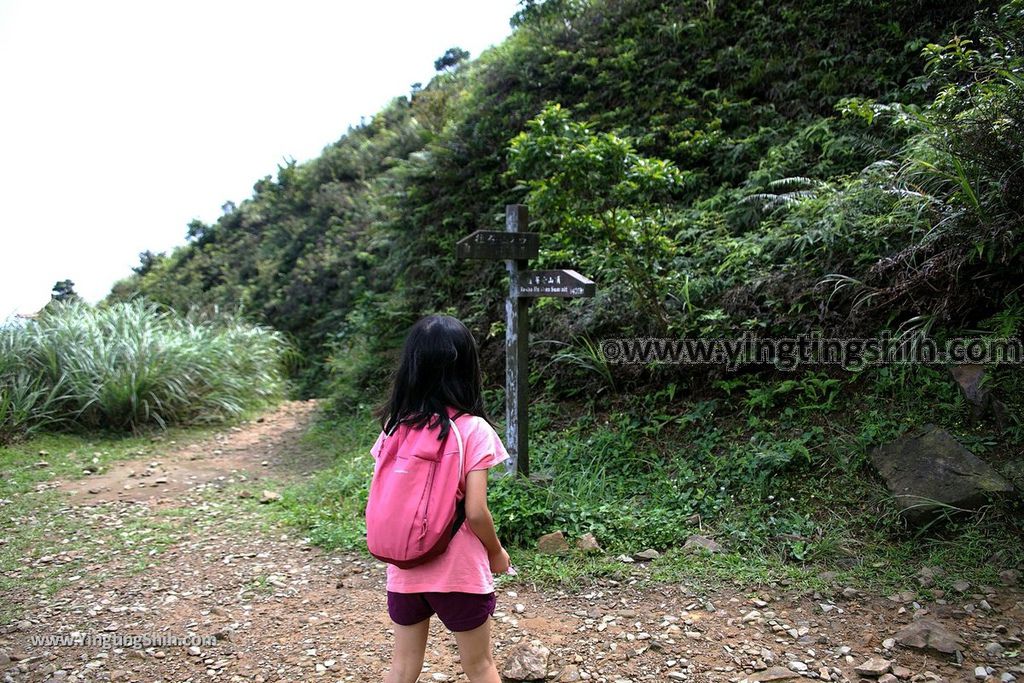 YTS_YTS_20190615_新北瑞芳無耳茶壺山登山步道／犀牛山New Taipei Ruifang Teapot Mountain Trail106_539A9708.jpg