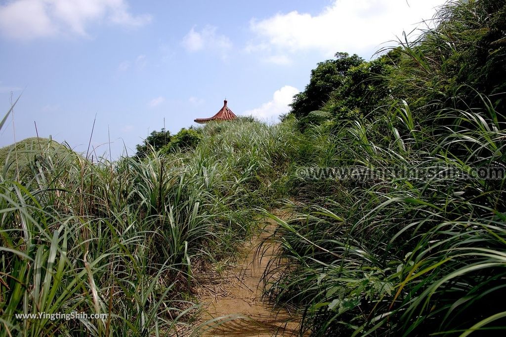 YTS_YTS_20190615_新北瑞芳無耳茶壺山登山步道／犀牛山New Taipei Ruifang Teapot Mountain Trail109_539A0032.jpg