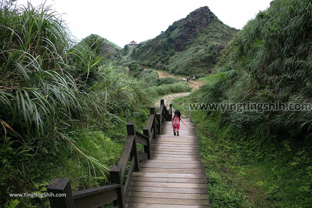 YTS_YTS_20190615_新北瑞芳無耳茶壺山登山步道／犀牛山New Taipei Ruifang Teapot Mountain Trail121_539A9733.jpg