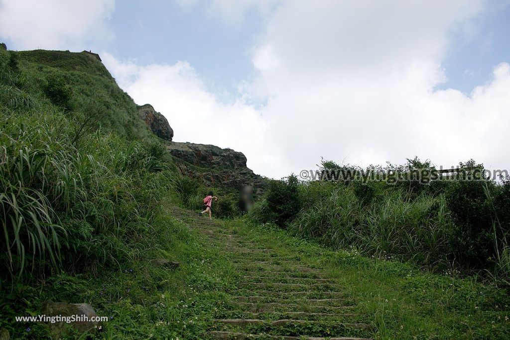 YTS_YTS_20190615_新北瑞芳無耳茶壺山登山步道／犀牛山New Taipei Ruifang Teapot Mountain Trail122_539A9735.jpg