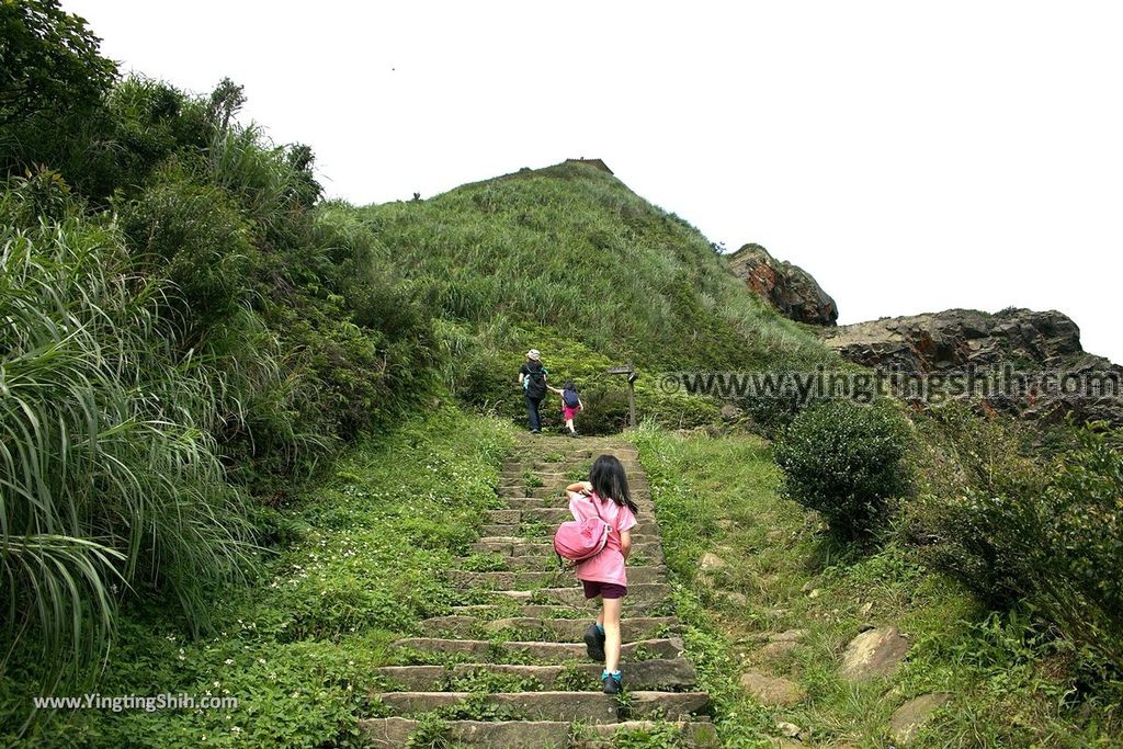 YTS_YTS_20190615_新北瑞芳無耳茶壺山登山步道／犀牛山New Taipei Ruifang Teapot Mountain Trail137_539A9759.jpg