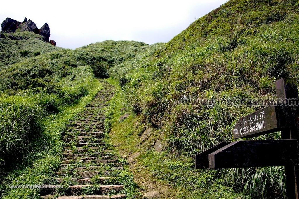 YTS_YTS_20190615_新北瑞芳無耳茶壺山登山步道／犀牛山New Taipei Ruifang Teapot Mountain Trail142_539A9785.jpg