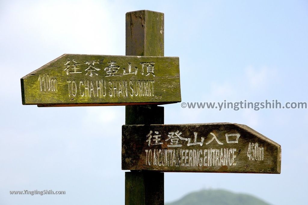 YTS_YTS_20190615_新北瑞芳無耳茶壺山登山步道／犀牛山New Taipei Ruifang Teapot Mountain Trail150_539A9841.jpg