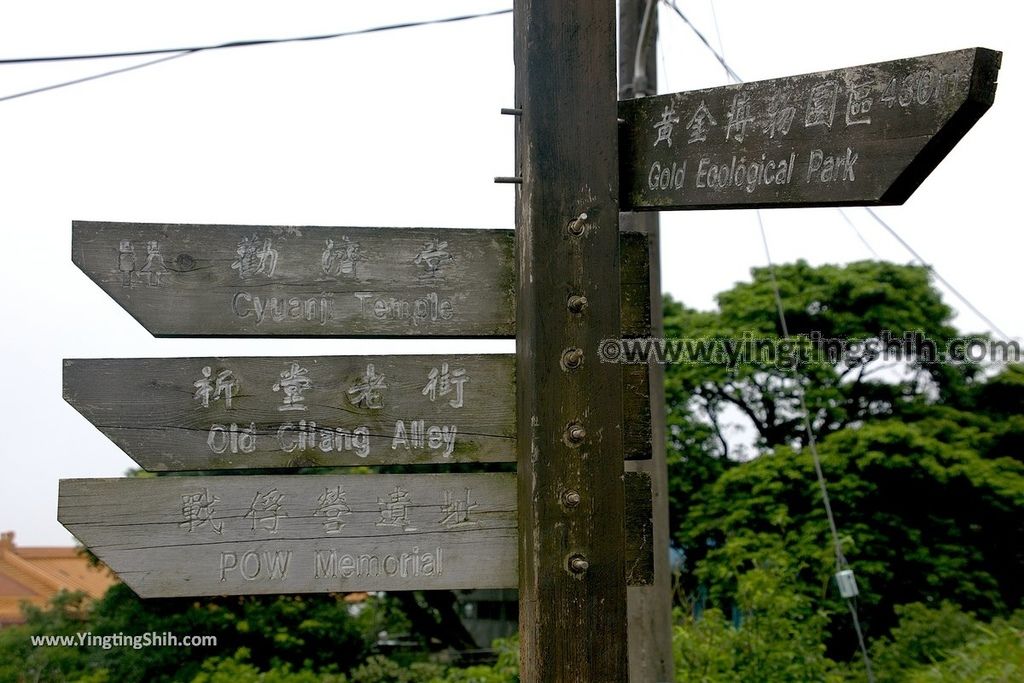 YTS_YTS_20190615_新北瑞芳無耳茶壺山登山步道／犀牛山New Taipei Ruifang Teapot Mountain Trail200_539A6415.jpg