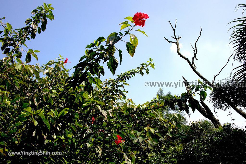 YTS_YTS_20190615_新北瑞芳碧峰巖／碧峰岩／廟中廟New Taipei Ruifang Bifengyan／Bifeng Rock009_539A0533.jpg