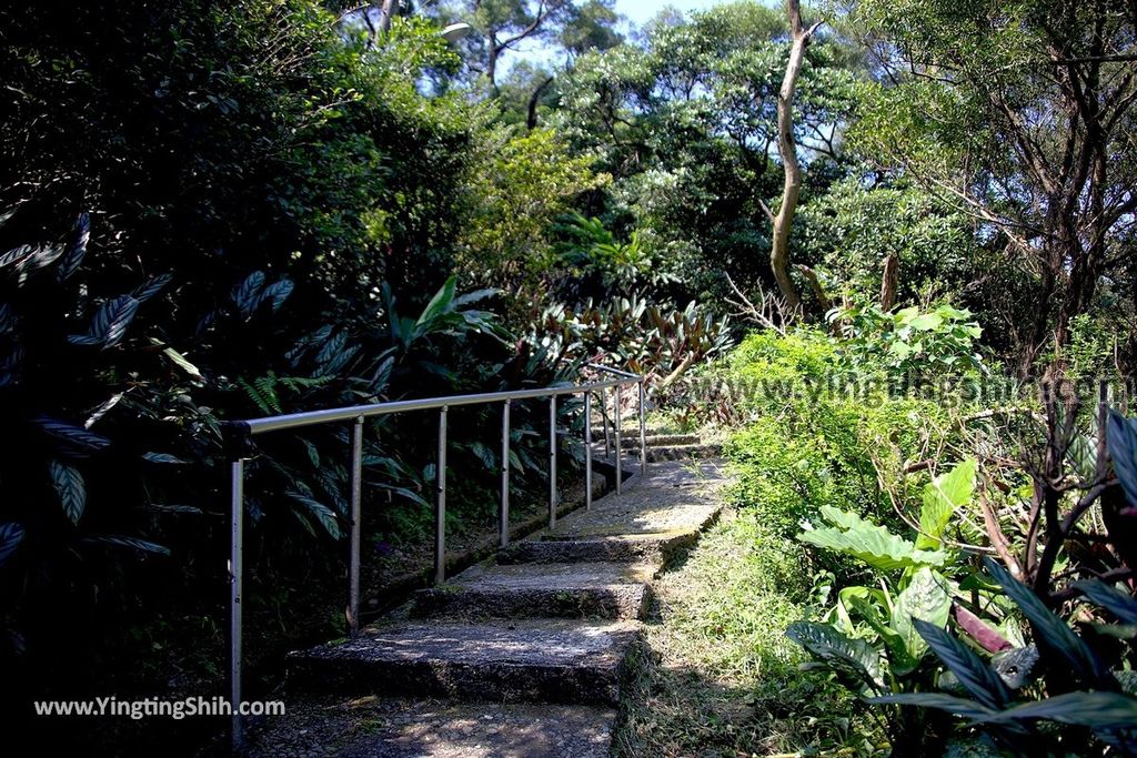 YTS_YTS_20190615_新北瑞芳碧峰巖／碧峰岩／廟中廟New Taipei Ruifang Bifengyan／Bifeng Rock014_539A0537.jpg