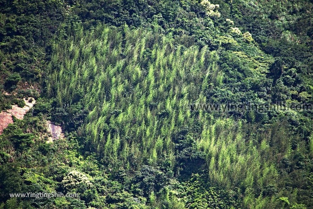 YTS_YTS_20190615_新北瑞芳碧峰巖／碧峰岩／廟中廟New Taipei Ruifang Bifengyan／Bifeng Rock041_539A0575.jpg