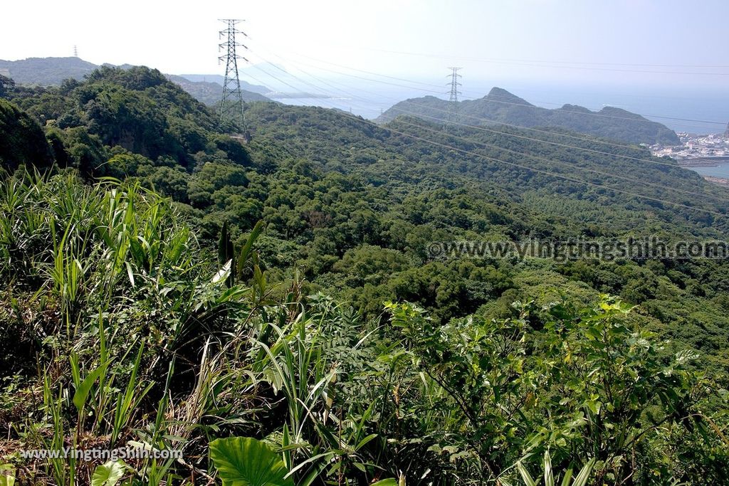 YTS_YTS_20190615_新北瑞芳碧峰巖／碧峰岩／廟中廟New Taipei Ruifang Bifengyan／Bifeng Rock054_539A0596.jpg