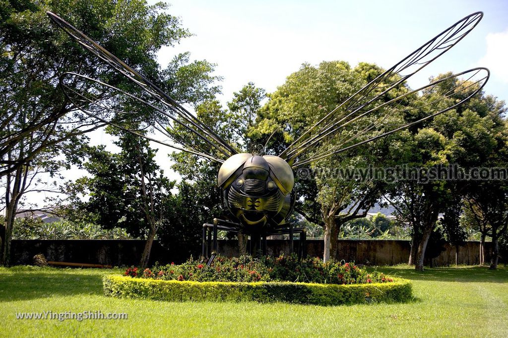 YTS_YTS_20190701_花蓮吉安知卡宣親水公園／南埔原生植物區／風箏溫室Hualien Jian Free Water Park071_539A9406.jpg