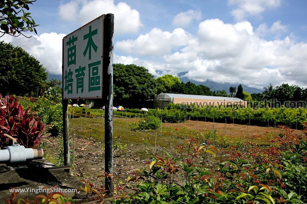 YTS_YTS_20190701_花蓮吉安知卡宣親水公園／南埔原生植物區／風箏溫室Hualien Jian Free Water Park113_539A9494.jpg