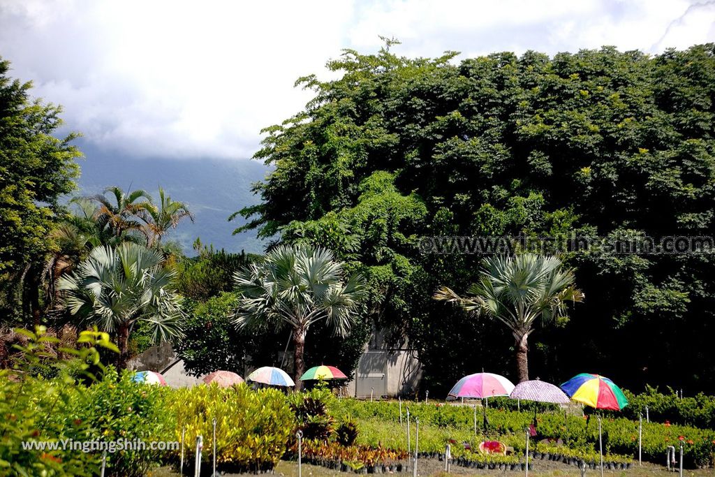 YTS_YTS_20190701_花蓮吉安知卡宣親水公園／南埔原生植物區／風箏溫室Hualien Jian Free Water Park114_539A9495.jpg