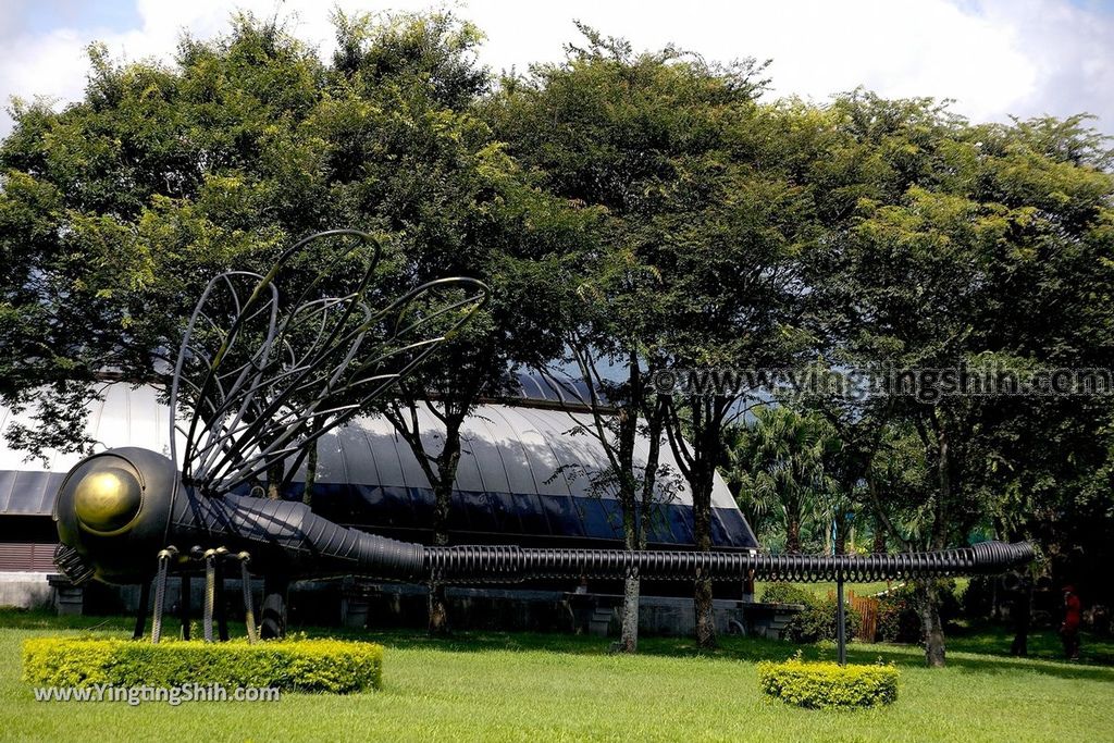 YTS_YTS_20190701_花蓮吉安知卡宣親水公園／南埔原生植物區／風箏溫室Hualien Jian Free Water Park080_539A9430.jpg