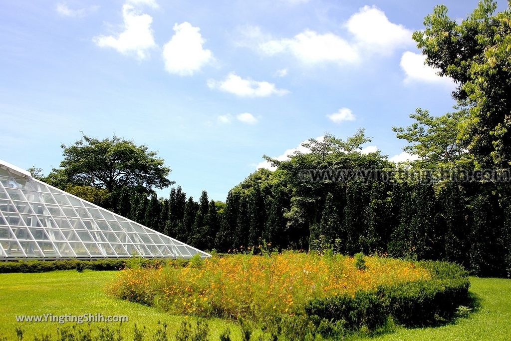 YTS_YTS_20190701_花蓮吉安知卡宣親水公園／南埔原生植物區／風箏溫室Hualien Jian Free Water Park132_539A9560.jpg