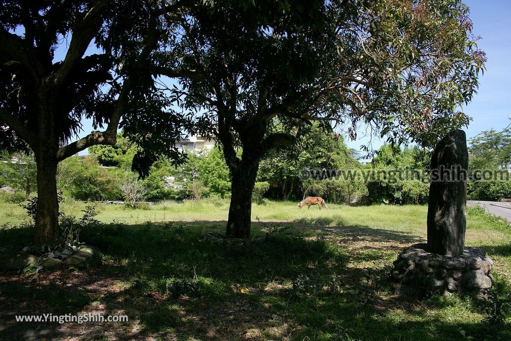 YTS_YTS_20190630_花蓮吉安損友最佳打卡點／不要臉公園Hualien Jian Buyaolian Park007_539A8636.jpg