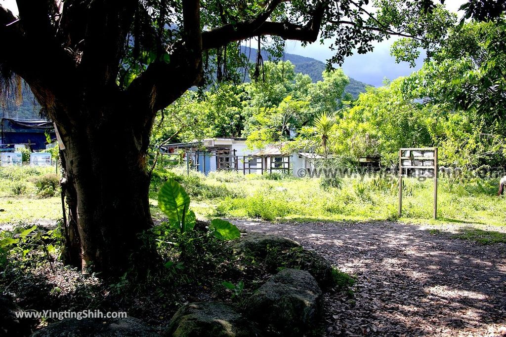 YTS_YTS_20190630_花蓮吉安損友最佳打卡點／不要臉公園Hualien Jian Buyaolian Park016_539A8648.jpg