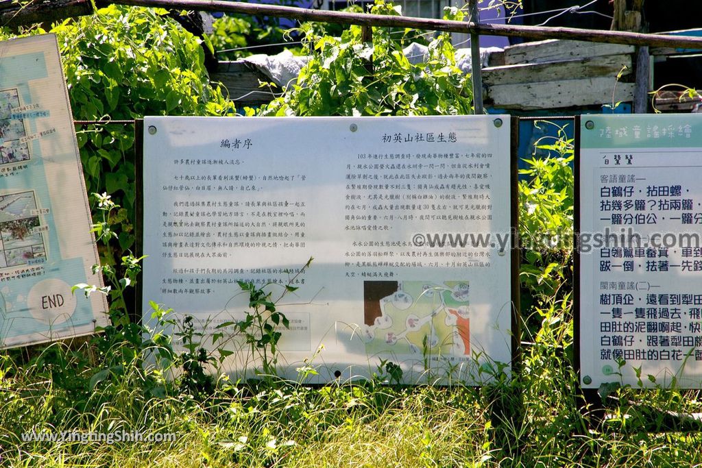 YTS_YTS_20190630_花蓮吉安損友最佳打卡點／不要臉公園Hualien Jian Buyaolian Park027_539A8621.jpg