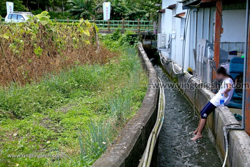 YTS_YTS_20190630_花蓮吉安蓮城蓮花園／免費蓮花茶／免費泡腳池Hualien Jian Lotus City Lotus Garden032_539A8892.jpg