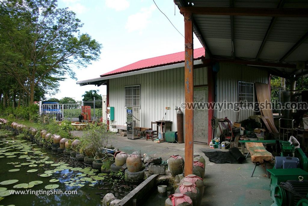 YTS_YTS_20190630_花蓮吉安蓮城蓮花園／免費蓮花茶／免費泡腳池Hualien Jian Lotus City Lotus Garden046_539A8750.jpg