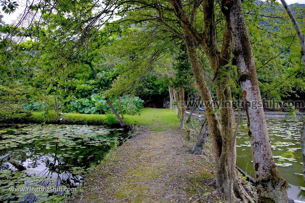 YTS_YTS_20190630_花蓮吉安蓮城蓮花園／免費蓮花茶／免費泡腳池Hualien Jian Lotus City Lotus Garden055_539A8785.jpg