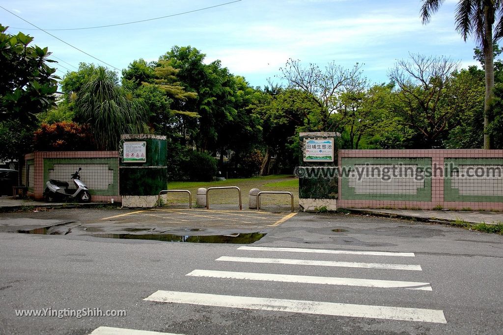 YTS_YTS_20190702_花蓮市區田埔生態池Hualien City Tianbu Ecological Pond003_539A0812.jpg