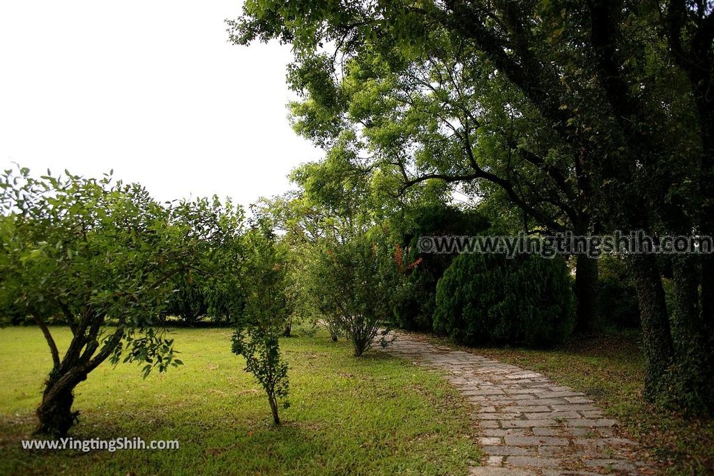 YTS_YTS_20190702_花蓮市區田埔生態池Hualien City Tianbu Ecological Pond011_539A0836.jpg