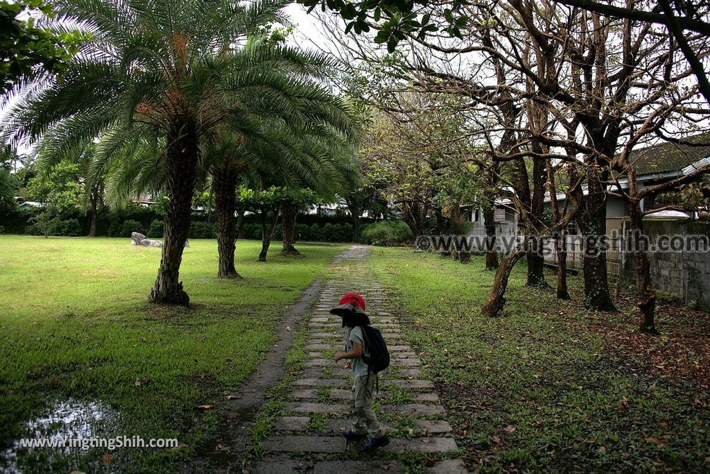 YTS_YTS_20190702_花蓮市區田埔生態池Hualien City Tianbu Ecological Pond009_539A0826.jpg