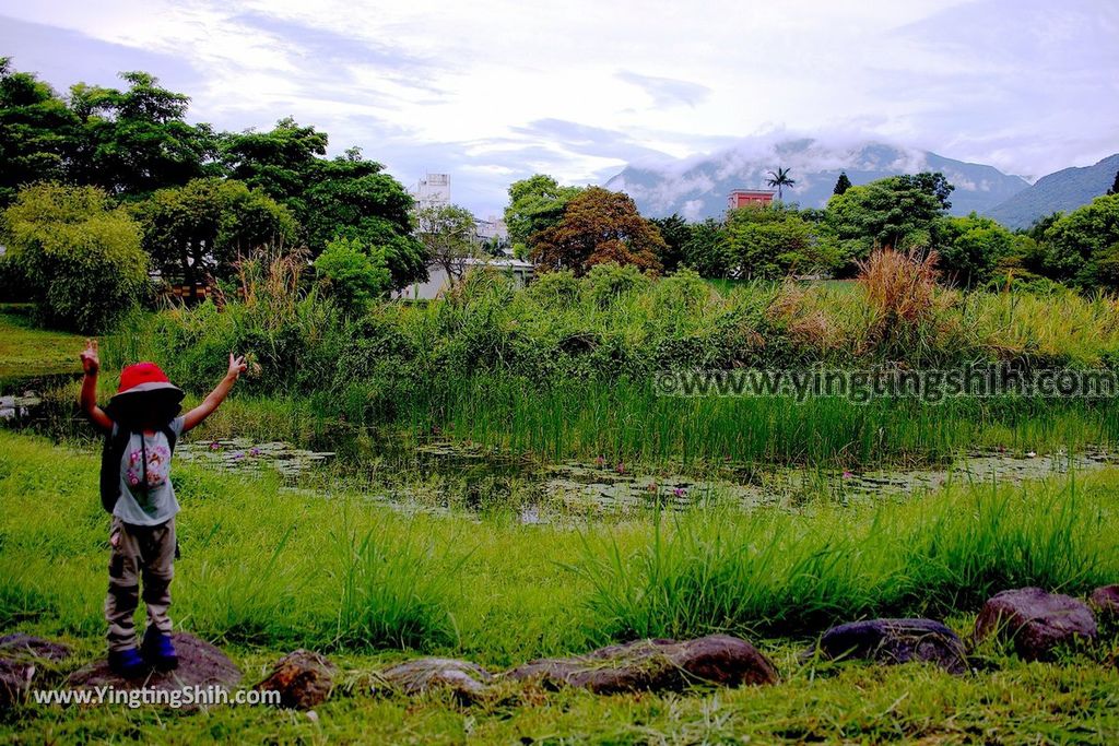 YTS_YTS_20190702_花蓮市區田埔生態池Hualien City Tianbu Ecological Pond024_539A0891.jpg