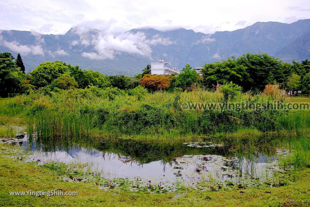 YTS_YTS_20190702_花蓮市區田埔生態池Hualien City Tianbu Ecological Pond022_539A0867.jpg