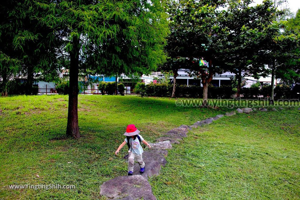 YTS_YTS_20190702_花蓮市區田埔生態池Hualien City Tianbu Ecological Pond023_539A0883.jpg