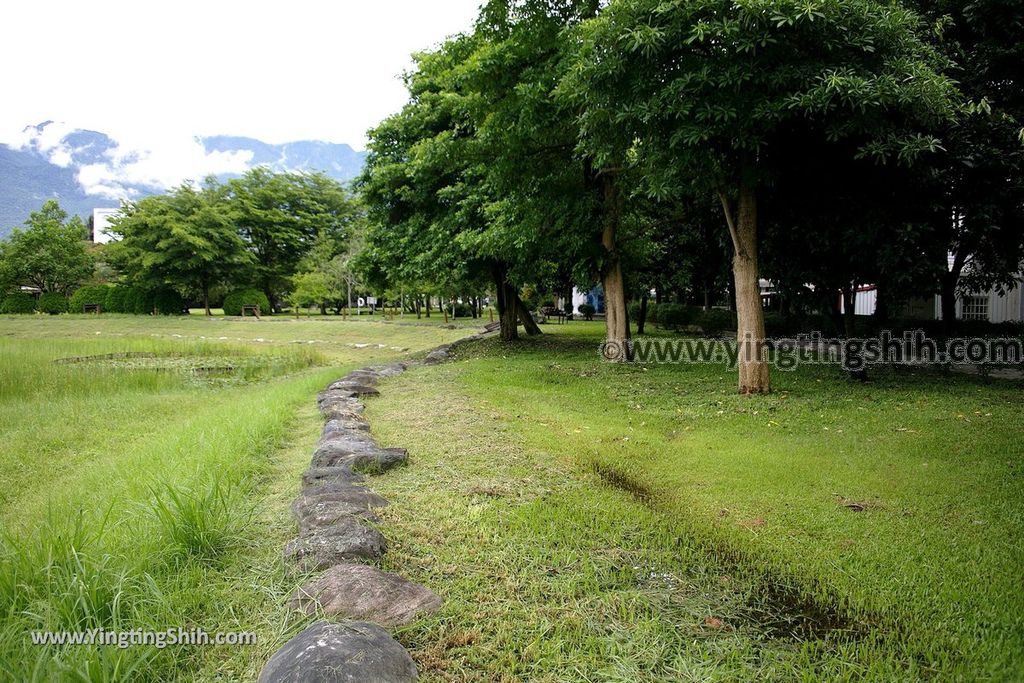 YTS_YTS_20190702_花蓮市區田埔生態池Hualien City Tianbu Ecological Pond026_539A0892.jpg