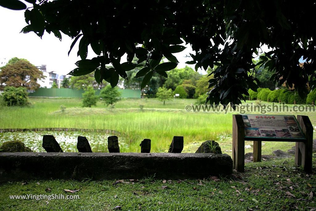 YTS_YTS_20190702_花蓮市區田埔生態池Hualien City Tianbu Ecological Pond032_539A0918.jpg