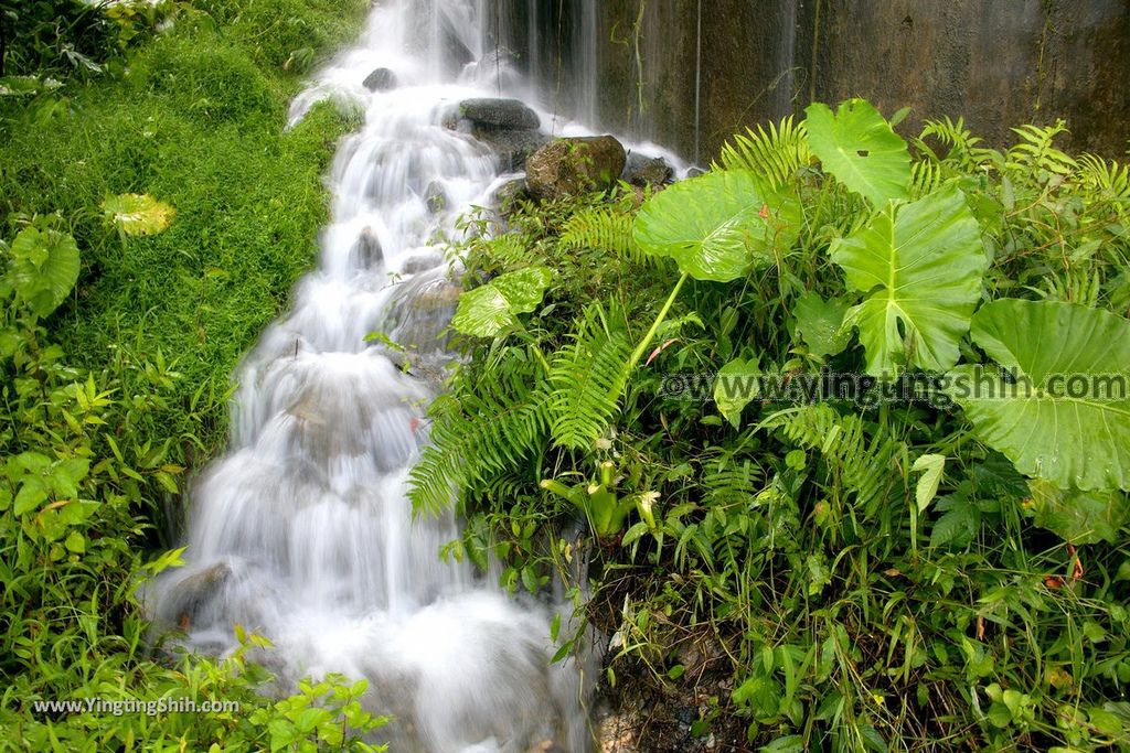 YTS_YTS_20190701_花蓮壽豐荖山瀑布／樹湖瀑布Hualien Shoufeng Shuhu Falls029_539A0521.jpg