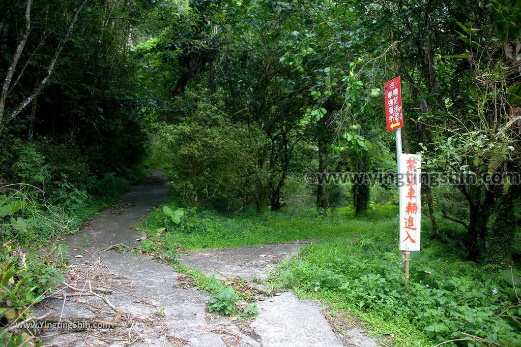 YTS_YTS_20190701_花蓮壽豐荖山瀑布／樹湖瀑布Hualien Shoufeng Shuhu Falls032_539A0558.jpg