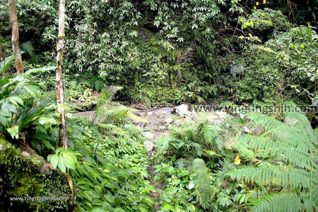 YTS_YTS_20190701_花蓮壽豐荖山瀑布／樹湖瀑布Hualien Shoufeng Shuhu Falls042_539A0589.jpg