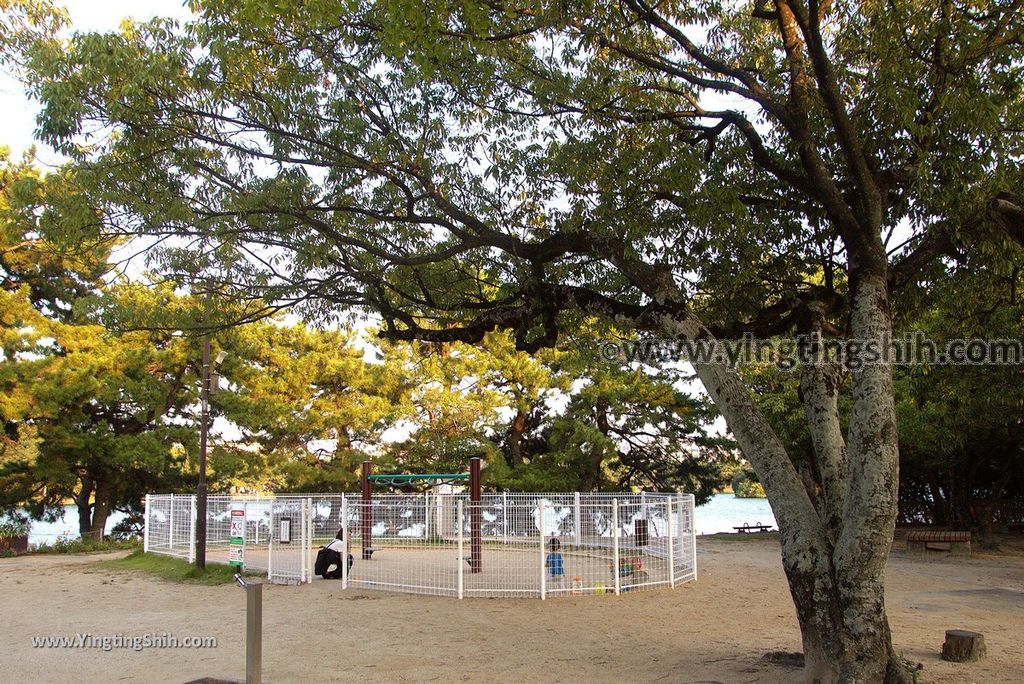 YTS_YTS_20180806_日本九州福岡大濠公園／兒童遊樂園／能樂堂／浮見堂／鴨島／舞鶴公園Japan Kyushu Fukuoka Ohori Park065_3A5A7083.jpg